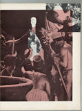 Cinerotic V2#1 Psychedelic Sexploitation Cinema 1970 Trader Hornee, The Scavengers 80pgs Cl;assic Publ. M29241