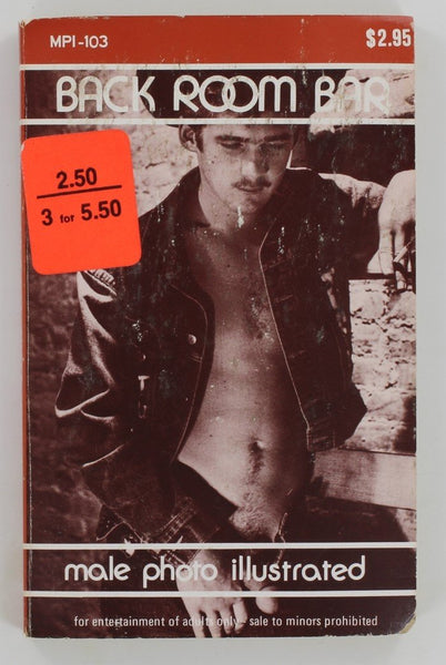 Back Room Bar 1979 Male Photo Illustrated MPI-103 Gay Pulp Book, Star Distributors PB380
