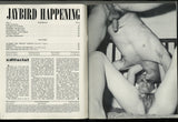Jaybird Happening 1970 Vintage Porn 64pgs Group Sex Hippies M20077