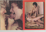 Hot Sexmates V1#1 Leggy Brunette 1978 Hard Sex 48pg Joey Silvera 20516
