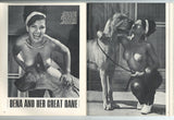 Cloud 9 Parliament V4#2 Vintage Elmer Batters Pinups 1967 Legs Nylons 80p M23030