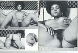 Pussy Willow V2#2 Vintage Lesbian Porn Magazine 1970 Pendulum Calga Ed Wood Jr 72pgs Interracial Hippie Female Sex Lezzie Love M24341