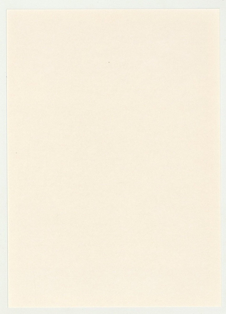 Jock Peterman 1994 Colt Studios 5x7 Serious Stare Moustache Jim French