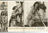 Jaybird Matinee V8#2 Hippie Group Sex Orgies 1969 Elmer Batters Nylon Stockings 72pg Parliament M24359