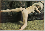 Climax Midnight Reader 1975 Wray Anne Reynolds, Challenge Publications 100pgs Pictorial Magazine M28534