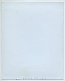 Busty Thick Disco Girl 1970 Classy Plus Size Female, Original Polaroid Photo, Big Boobs, Large Nipples Q8809