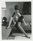 Elmer Batters 1960 Tip Top Magazine Photograph 8x10 Stockings Nylons, Parliament News Photo J15688