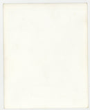 Lovely Erect Penis 1960 Vintage Homophile Art 5x4 Original Gay Photo Q8514