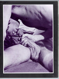 Let There Be Love 1969 Homoerotic Gay Love Story 48pgs Pictorial Pulp Fiction GSN Publ. Magazine M25089