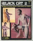Black Cat V1#2 Ebony Big Cock Stars 1978 African American Male Pinups 52pgs Eagle Prod., Third World Studios M25092