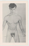 The Male 1966 Edwardian Teddy Boy Look 24pgs Homo Bad Boy Hunks, PPC Gay Press M35116