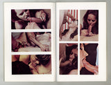 The Effects Of Danish Pornography 1977 Hippie Era Sex Pulp Fiction Pictorial 100pg York Books Inc. M28127