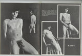 The Male Male V2#1 Big Cock Bad Boys 1980 Vintage Gay Erotica Magazine 48Wise Owl Publications M28325