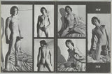 The Male Male V2#1 Big Cock Bad Boys 1980 Vintage Gay Erotica Magazine 48Wise Owl Publications M28325