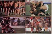 Blueboy 1980 Jocks Sweaty Athletes Beefcake Physique Colt 96pgs Gay Magazine M28527