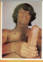 Brunette Boys For Breakfast V1#1 Sasha Gabor, Jason Reynolds 1976 Vintage Gay Erotica Magazine 48pg Mister Starr Studios M29222