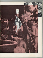 Cinerotic V2#1 Psychedelic Erotic Pulp 1970 Trader Hornee, The Scavengers 80pgs Sexploitation Cinema MagazineM29241