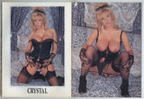 Double-D Nymphos 1993 Tami Monroe, Pandora Peaks, Crystal Storm 84pgs Big Boobs Magazine, Jakel Publishing M29700