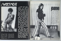 Sweet Meat 1975 Classy Solo Girls, Garter Belts Stockings 64pgs Trio Press Magazine M29894