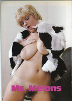 40rty Plus V11 #1 Penny Ellington, Laura Lynwood 1980 Vintage Big Boobs Magazine 60pgs Eros Goldstripe M30769