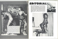 Bitches, Heels & Whips V3#4 1 Stockings, Nylons 1979 Powerful Tall Leggy Women 56pgs Eros Goldstripe M30856