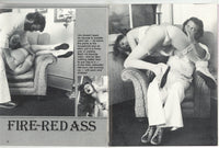 Aching Asses V9#3 Vintage Spanking Magazine 1978 Hairbrush, Ruler, Hand 48pgs Eros Goldstripe Publ. M37520