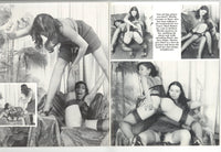 Aching Asses V9#2 Vintage Spanking Fetish Magazine 1978 BDSM Erotica 48pgs Eros Goldstripe M31427