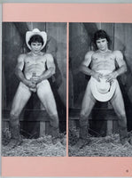 Male V1#3 Lee Marlin, Matt Lucas 1978 Erotic Gay Pinup Magazine 60pgs Bodyworks Arena Publications M32724