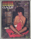 Gorgeous Gals V1#2 Elmer Batters 1963 Oversize Stockings Magazine 220pgs Nylon Jungle, Tip Top, American Arts Agency M32400