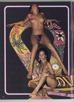 The Nudist Idea #17 Michelle Angelo, Candy Barr 1969 Psychedelic & Blaxploitation Erotica 72pgs Elysium Publ. GSN Magazine M35585