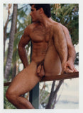 Mike Timber Buff Tanned Hunk Colt Studio Original 1990 Jim French 5x7 Gay Beefcake Photo J13786