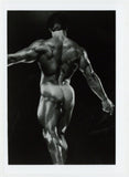 Tanned Muscular Physique Rear View Colt Studio Model Original 1985 Jim French 5x7 Gay Beefcake Photo J13701