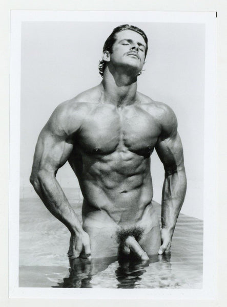 Cal Sinclair Colt Studio Tanned Hunk Moustache 1980 Jim French 5x7 Gay Beefcake Photo J13803