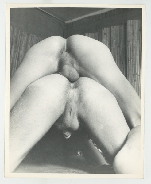 Close Up Hard Sex 1960 Balls Deep Hairy Ass Vintage 8x10 Original Gay Photo J13930