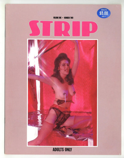 Strip V1#2 Lynn Michaels, Tall Sultry Brunette 1979 Sleazy Stripper Pulp Pictorial 32pgs Holly Publications M35018
