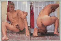 Torso 2001 Robert Balint, Kato Lee, Dakota James, Addison Scott 100pgs Varsity Comm Gay Pinup Magazine M35063