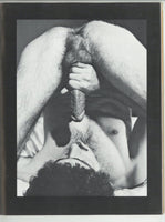 The Best Of Griffin Studios 1976 Jack Wrangler, John Holmes, Michael Delfino, Joe Markham 48pgs House One Of California M35743