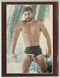 The Best Of Al Parker 1980 John Trent, Ty Gardner, Mike Davis, Steve Tyler, Buck Stevens, Paul Brooks 48pgs Falcon Studios M35752