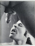 Collect Call 1980 Ed Wiley Myles Longue 48pgs Vintage Gay Homoerotica, LeSalon Publ. Magazine M37758