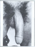 Gym Mates #1 Vintage Nude Bodybuilders 1978 Gay Physique Photo Art 48pgs David Carter Studio, Golden State News M38146