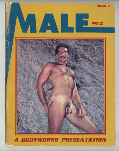 Male #2 Daryl Paige, Clay Russell 1978 Vintage Gay Physique Magazine 60pgs Bodyworks Studio, Arena Publ. M37758