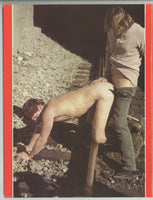 Greenhorn 1984 Andy Fuller, Jim Rogers, Beau Matthews, Adam Mitchell 44pgs Explicit Gay Western Film Pictorial, SS Prod. M36481