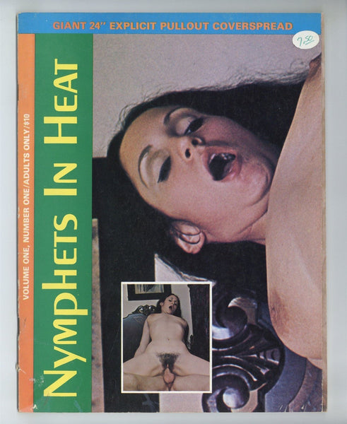 Nymphets In Heat 1980 Lucious Long Hair Brunette 44pgs Golden State News Publ. M37518