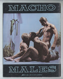 Sculptures Of Macho Males #1 Mark Wolf, Lee Martin 1978 Romantic Gay Erotica 48pgs Paeon Studios Pictorial Magazine M39030