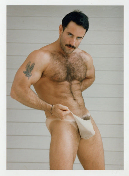 Steve Kelso Tattooed Hairy Hunk 1994 Intense Stare Colt Studio 5x7 Jim French Gay Nude Photo J14216