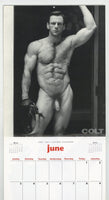Colt Studio Calendar 2001 Leather Tony Ganz, Doug Reed, Wade Neff Gay Physique Jim French Photography M36644