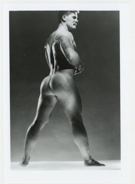 Ryan Hayward 1985 Hairy Tattooed Hunk Colt Studio 5x7 Jim French Photo J14359