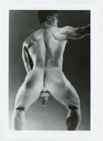 Ryan Hayward 1985 Gorgeous Rear View Tiger Tattoo Colt Studio 5x7 Jim French Photo J14363