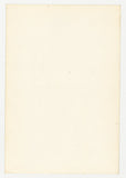Adorable Tall Thin Male Physique 1960 All Man Orgy Group Sex 1960 Vintage Gay 6x4 Original Photo, Acme Prod. Q9438