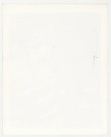Playful Lusty Woman 1950 Perky Nipples, Silk Stockings Masturbation 5x4 Vintage Nude Photo Q9454